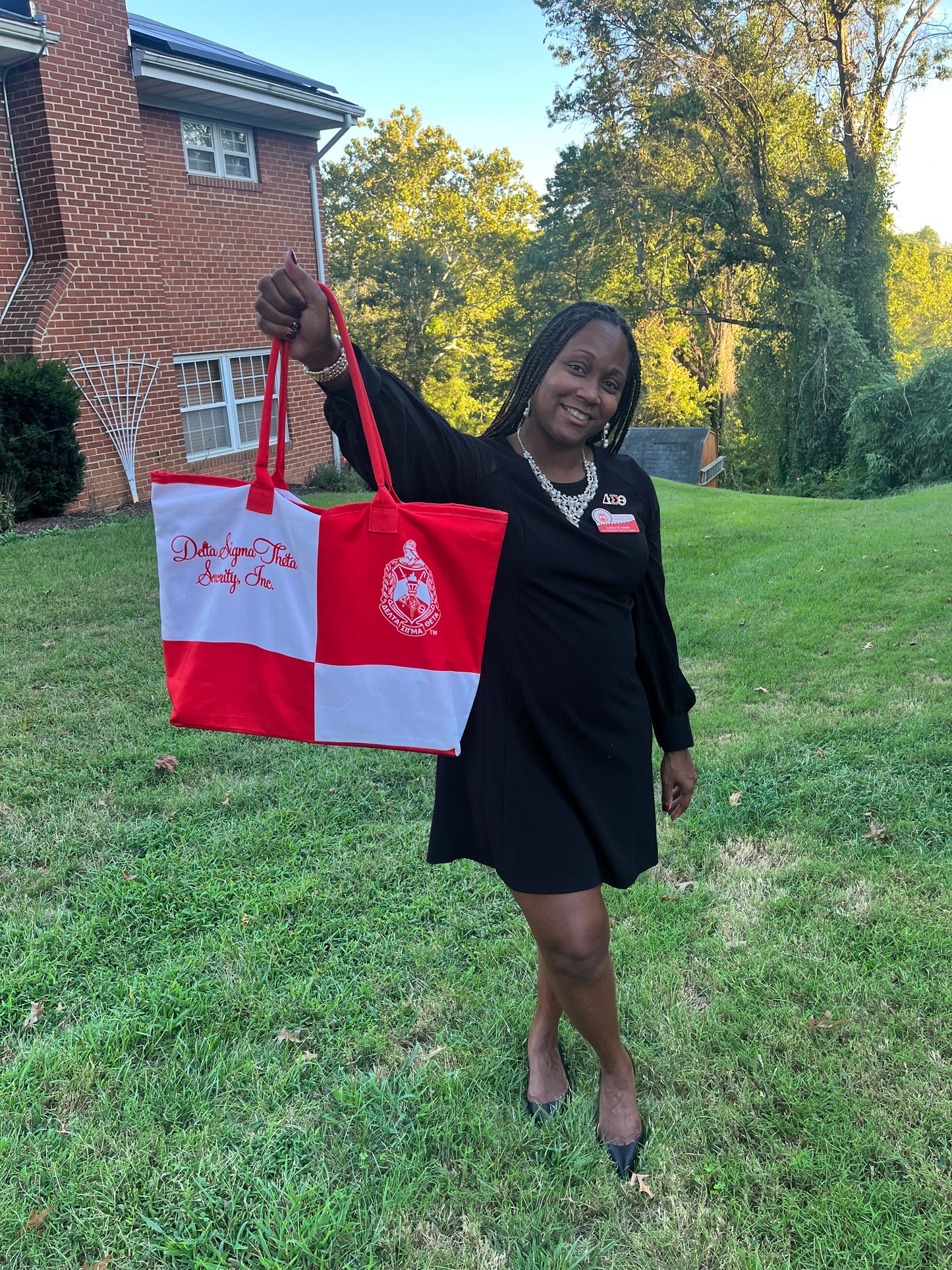 Delta Sigma Theta Color Block Tote Bag