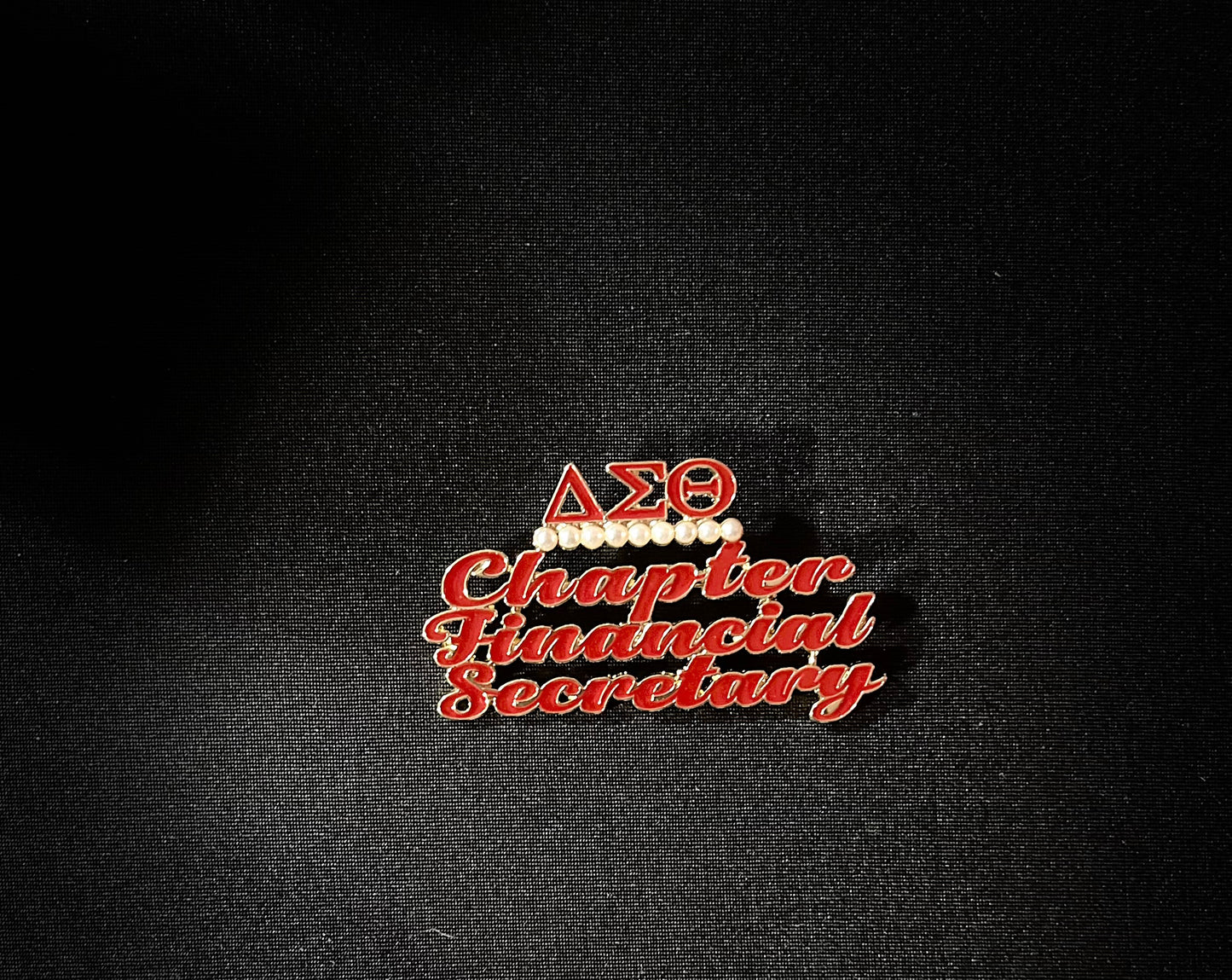 Chapter Financial Secretary Lapel Pin