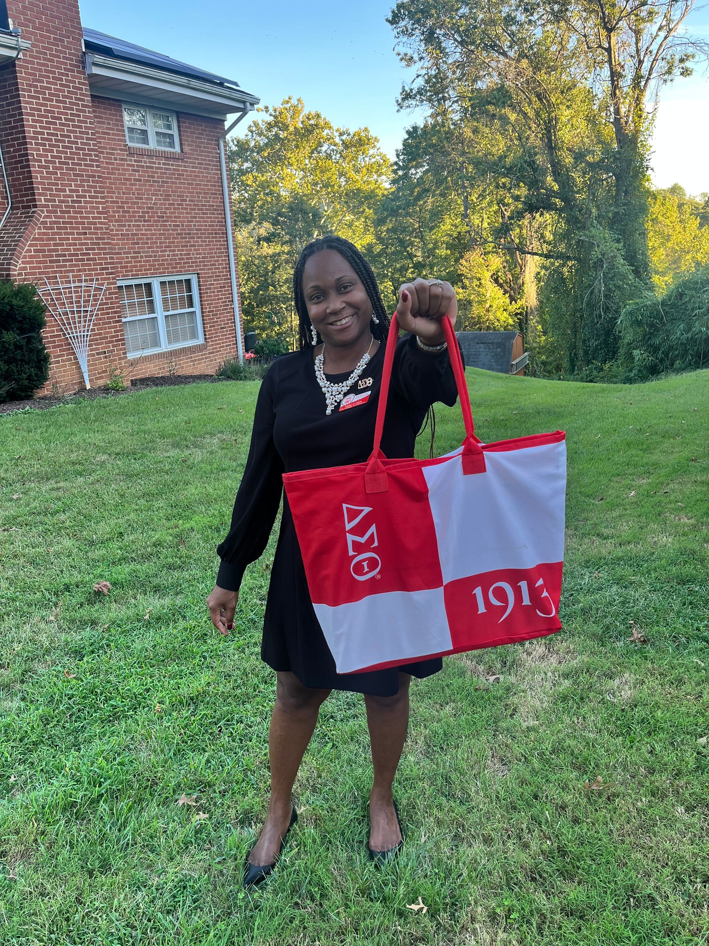 Delta Sigma Theta Color Block Tote Bag