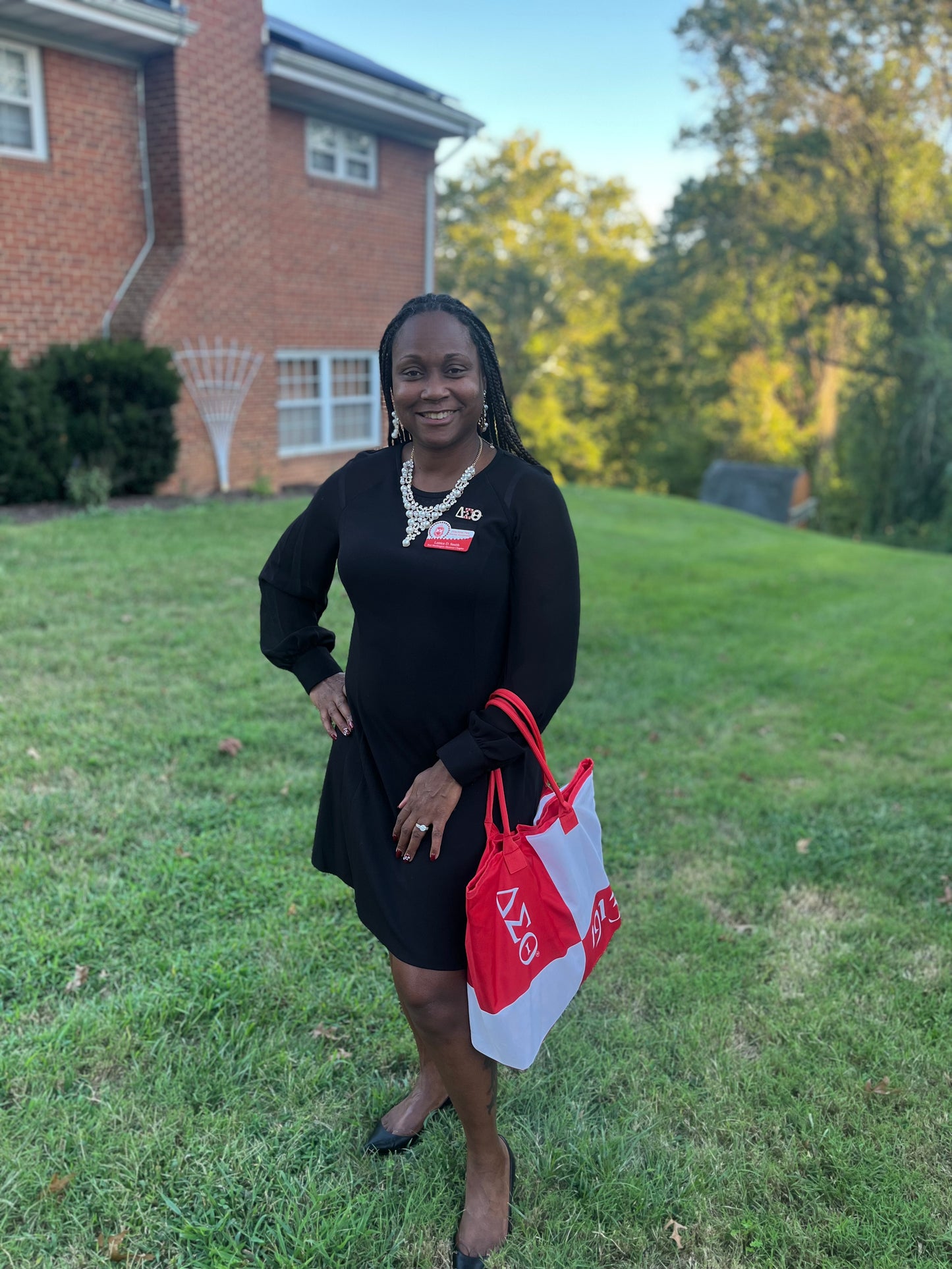 Delta Sigma Theta Color Block Tote Bag