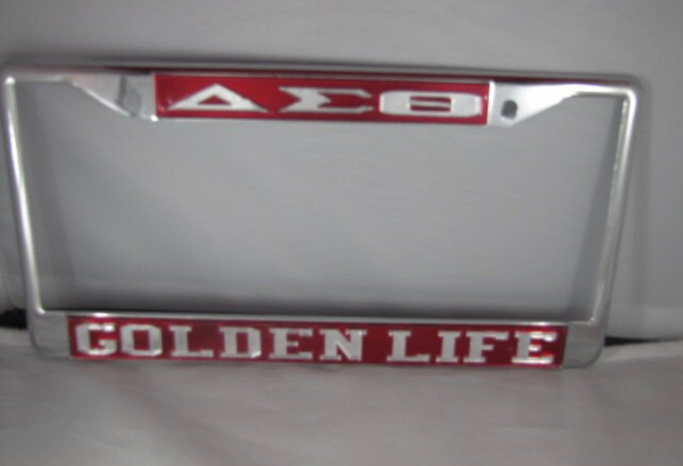 DST Metal License Frame