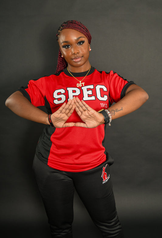 SPEC 1913 Embroidered Ringer T-shirt