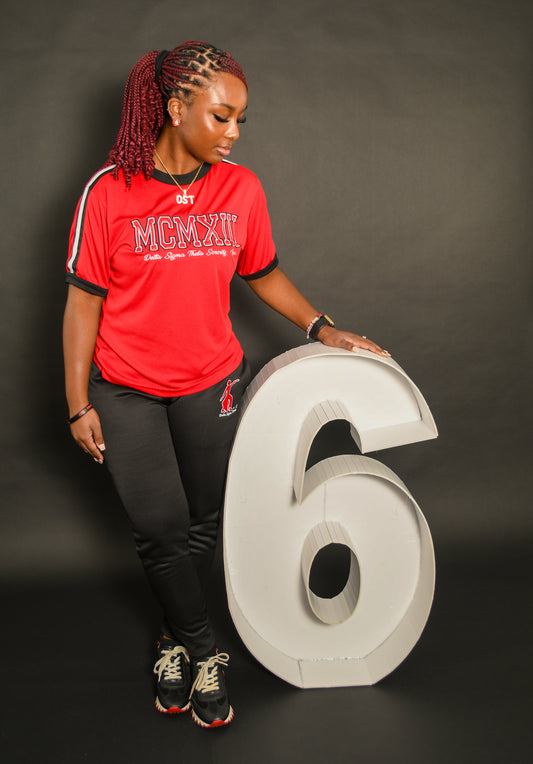 Roman Numeral DST 1913 Embroidered Tshirt