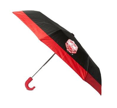 DST Mini, automatic up & down umbrella. Collapsible. 23-inch span when open.